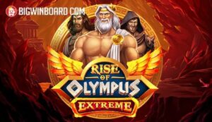 Bikini Paradise ????