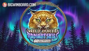 適用于寶駿730后尾燈總成14-21款轉向剎車燈后組合燈倒車燈罩改裝