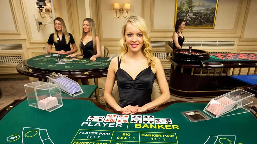 ??????????????! ????? slotxo ????? 100 ???????????????