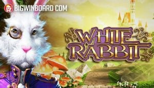 ???????????????????: ????????? FC ??????????????