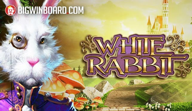 slots roma: ????????????????????????????????????